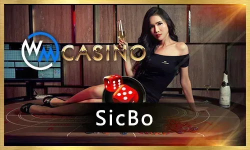 Phjoy Live Casino